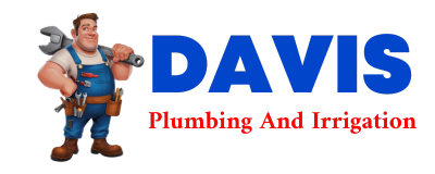 Trusted plumber in BUNA